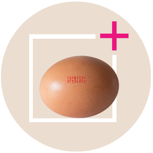 EE_Food_Beigecircle_fastfooddrinks_600x600--4-.png