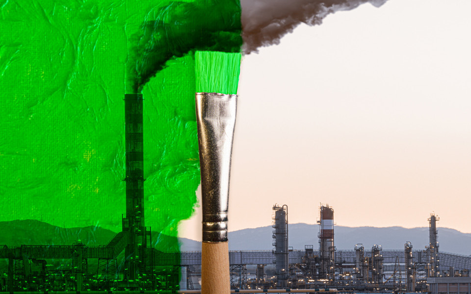The costs of greenwashing