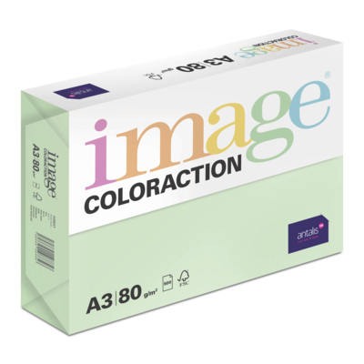Image Coloraction