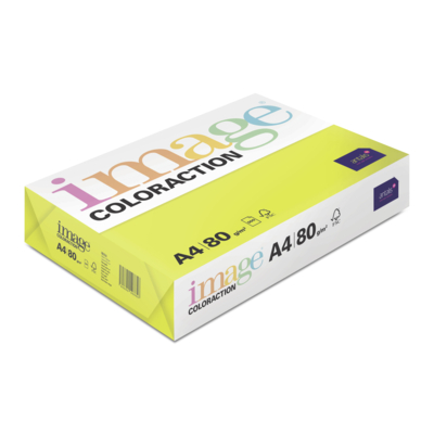 Image Coloraction