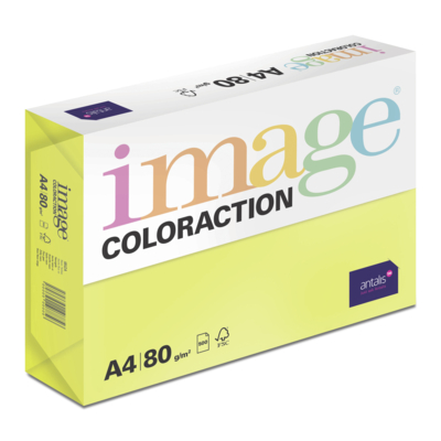 Image Coloraction
