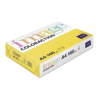 Image Coloraction