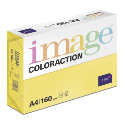 Image Coloraction