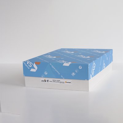 DNS performance plus