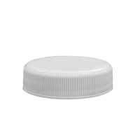 Plastpudelid