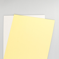 Xerox isekopeeruv komplekt