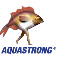 Veekindel paber Aquastrong