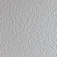 Constellation Snow