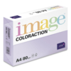 Image Coloraction
