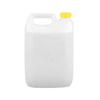 Plastkanistrid