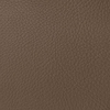 Coala Interior Film Textile